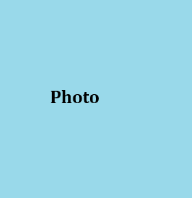 Website Staff