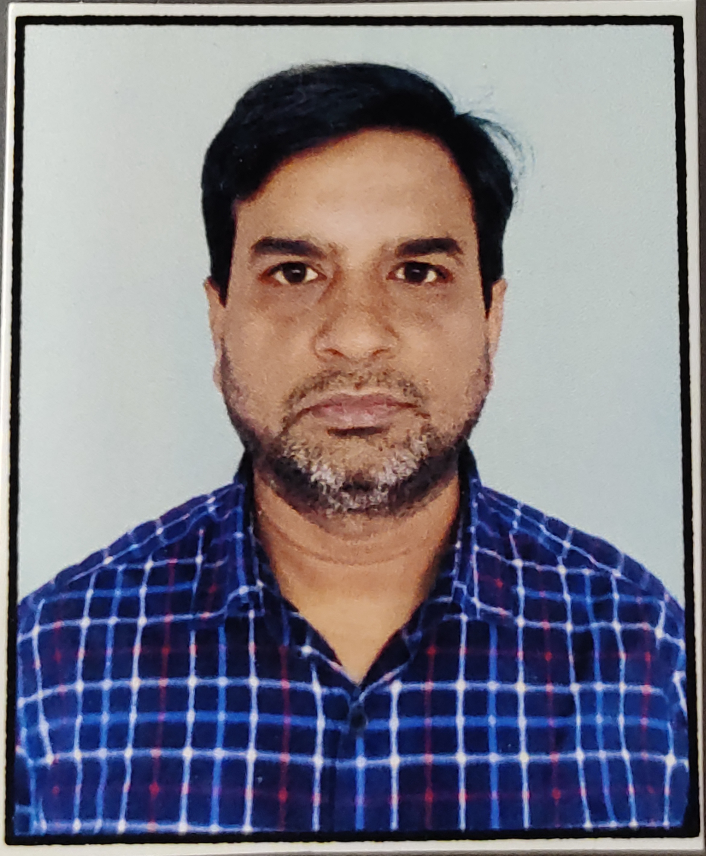 Website Staff